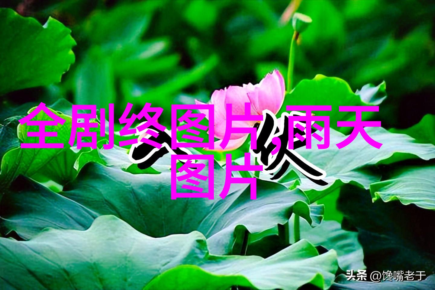 关于青春的说说带图片