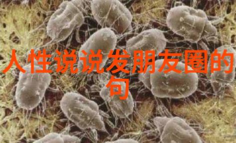 超级搞笑的笑话笑超搞笑笑话笑死人短的