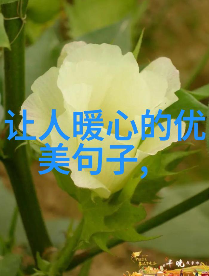 2019年撩到你脸红的爱情说说 很多人看久了就会觉得腻唯独你越看越喜欢