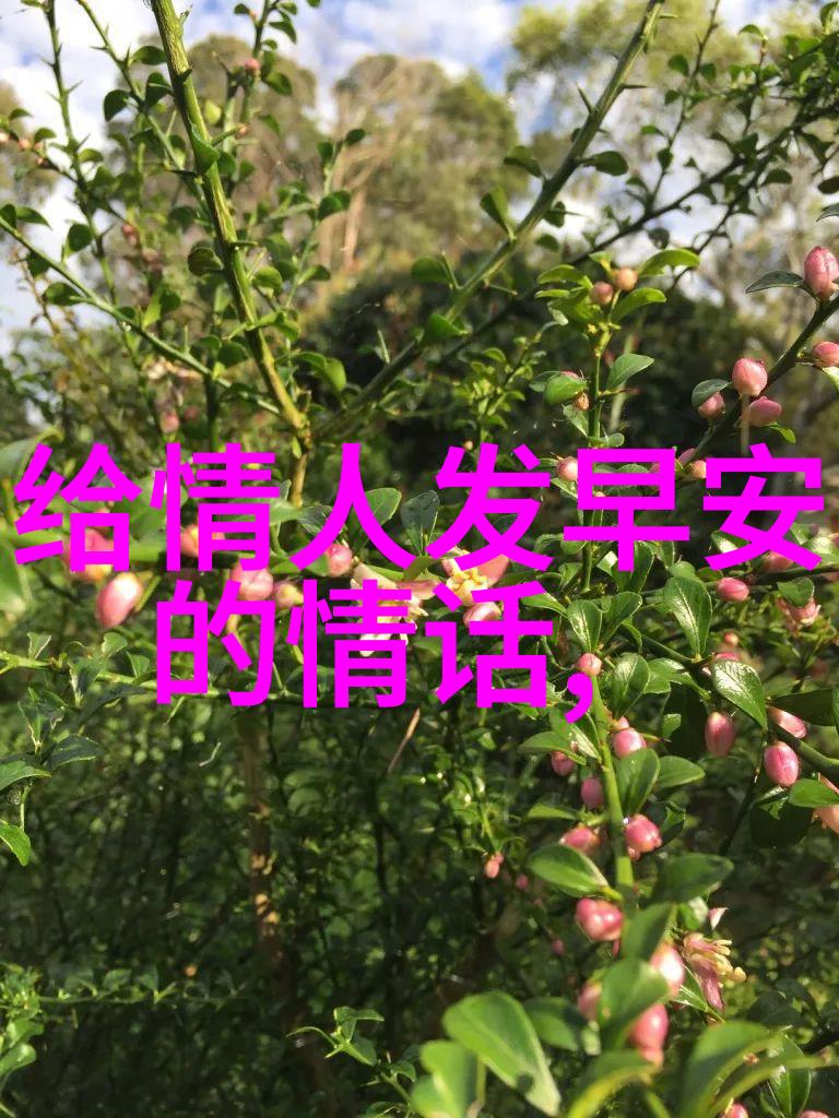 2019很温暖的爱情说说 选择自己所爱的爱自己所选择的
