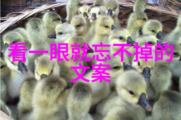 QQ爱情说说大全 听了四分三十三秒的独白情歌流了四分三十三秒的眼泪