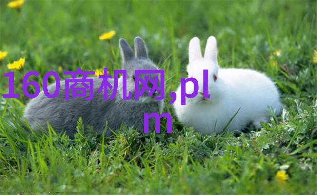 表达不舍离别的句子 离开分别时不舍的句子