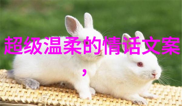 QQ空间的情感语录别爱得太苦